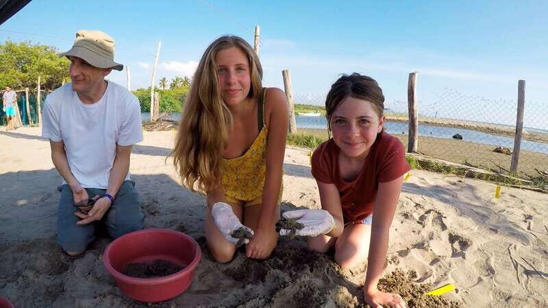 Ixtapa-Zihuatanejo: Turtle Release Tour. - Who Should Consider This Tour?