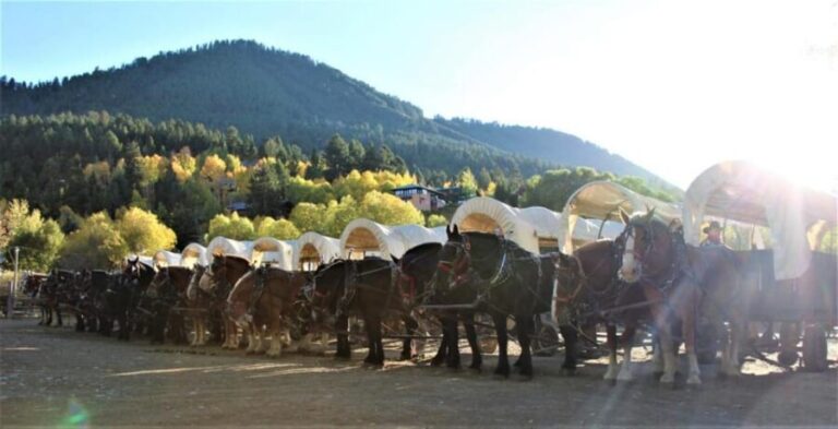 Jackson: Chuck Wagon Cookout and Live Show - What Makes the Wagon Ride Special