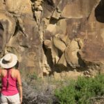 Jackson: Grand Teton, Bighorn Sheep, and Petroglyphs Tour - Why This Tour Offers Great Value