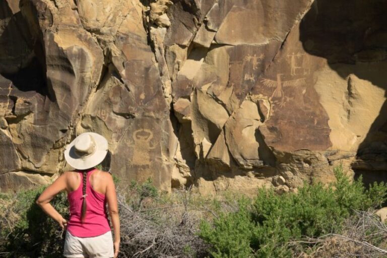 Jackson: Grand Teton, Bighorn Sheep, and Petroglyphs Tour - Why This Tour Offers Great Value