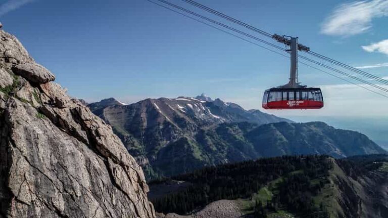 Jackson Hole: Aerial Tram and Gondolas Sightseeing - Exploring Beyond the Summit