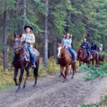Jackson Hole: Bridger-Teton National Forest Horseback Ride - Who Will Love This Tour?