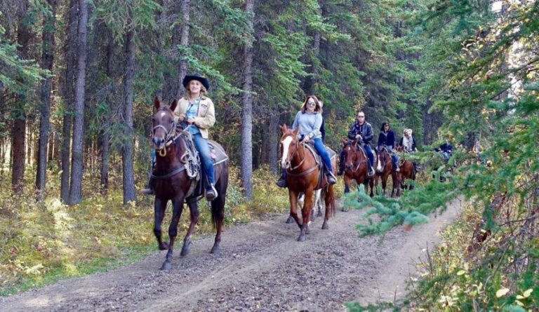 Jackson Hole: Bridger-Teton National Forest Horseback Ride - Who Will Love This Tour?