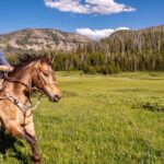 Jackson Hole: Dinner Cookout & Bridger-Teton Horseback Ride - Practical Details and Considerations