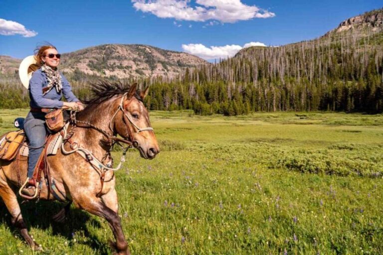 Jackson Hole: Dinner Cookout & Bridger-Teton Horseback Ride - Practical Details and Considerations