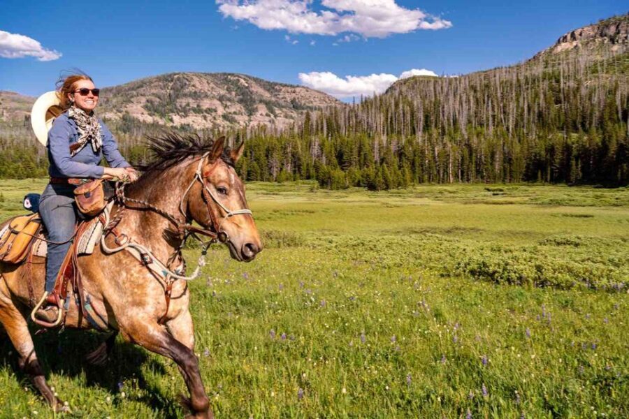Jackson Hole: Dinner Cookout & Bridger-Teton Horseback Ride - Practical Details and Considerations