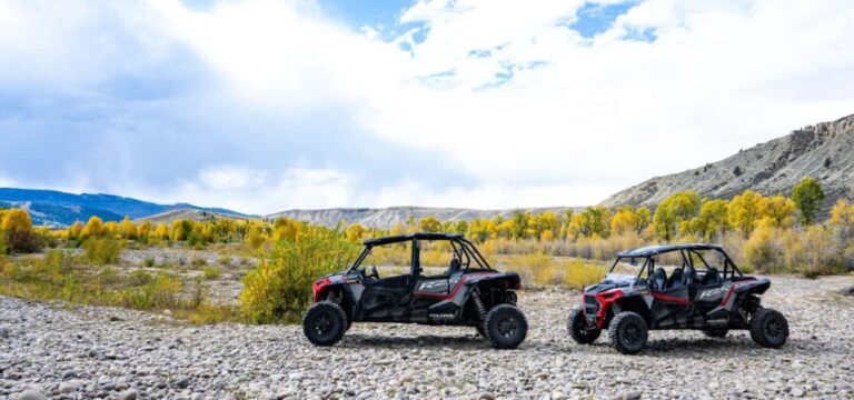 Jackson Hole: Side-by-Side Rental with Helmet & Goggles - The Value of the Experience