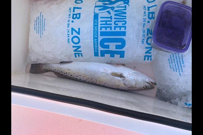 Jacksonville Fishing Charter-23' - The Sum Up