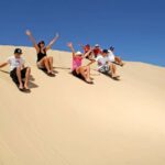 Japanese Tour: Port Stephens Dolphins, Koala & Sand Boarding - Who Will Love This Tour?