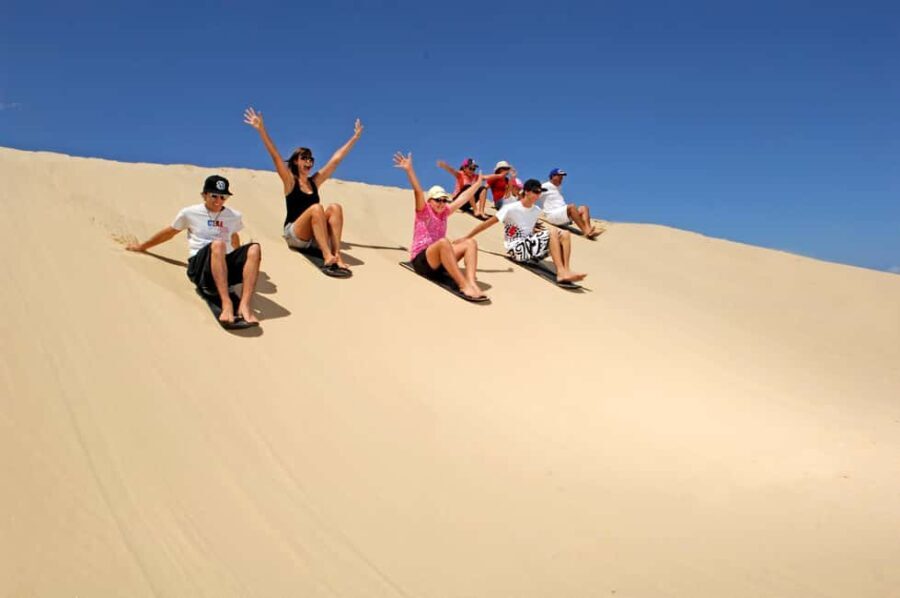Japanese Tour: Port Stephens Dolphins, Koala & Sand Boarding - Who Will Love This Tour?