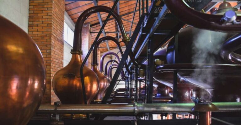 Jarnac: Braastad cognac discovery tour - Exploring the Tour: A Step-by-Step Breakdown
