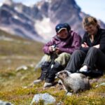 Jasper to Banff One-Way Tour - Who Would Love This Tour?