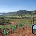 Jeep half day tour of our Algarve coast and mountains - Who Will Love This Tour?
