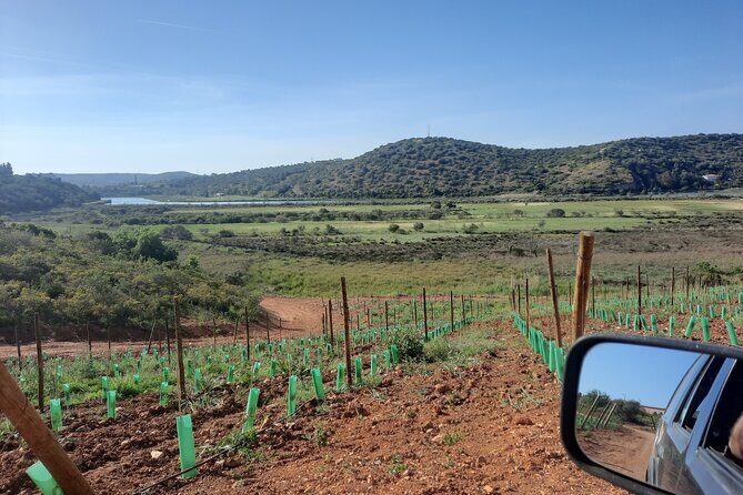 Jeep half day tour of our Algarve coast and mountains - Who Will Love This Tour?