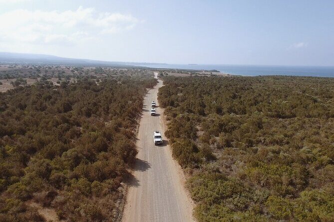Jeep Safari Akamas from Paphos - Why This Tour Stands Out