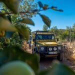 Jeep Safari Tour - Full Day - A Deep Dive into the Jeep Safari Experience