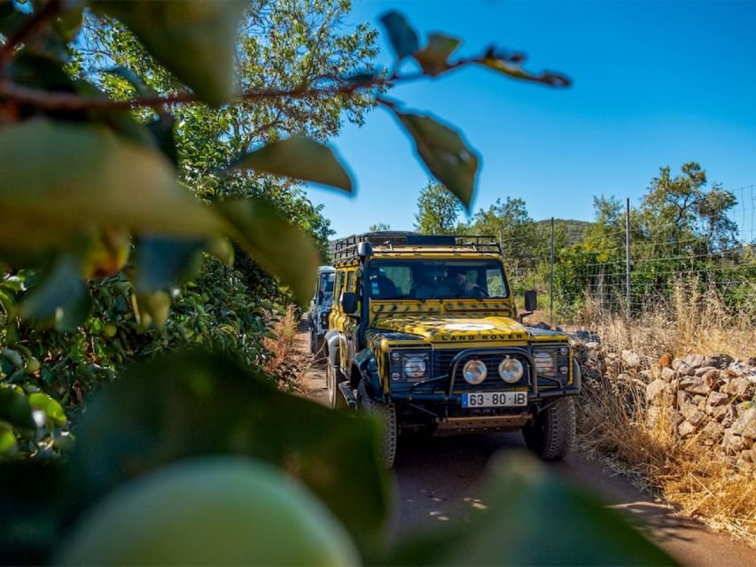 Jeep Safari Tour - Full Day - A Deep Dive into the Jeep Safari Experience