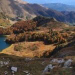 Jeep tour in National park Biogradska gora - Why Travelers Love This Tour