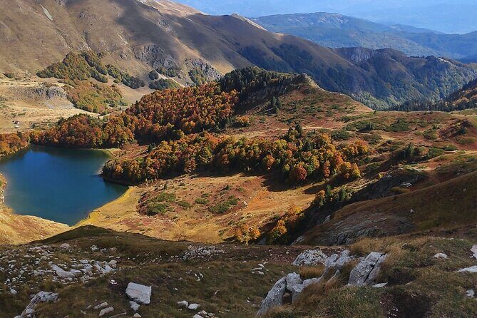 Jeep tour in National park Biogradska gora - Why Travelers Love This Tour