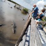 Jeep Tour to Punta Sur Eco Beach Park with Lunch - Practical Tips for Making the Most of This Tour