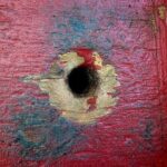 Jennie Wade Ghostly Encounter Tour - Why It’s Worth the Price