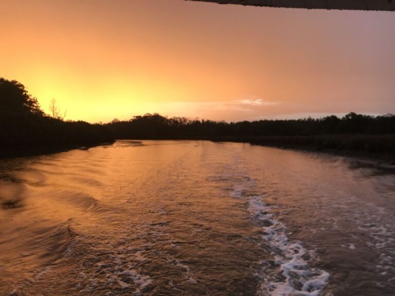 Jervis Bay: 2-Hour Sunset River Cruise - Why the Guides Make a Difference