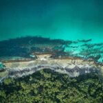 Jervis Bay, Kiama & Kangaroo Valley Day Trip From Sydney-PVT - Authentic Experiences and Real Feedback