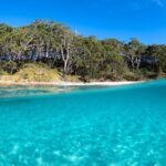 Jervis Bay Private Tour - Pick up & Drop off - The Sum Up: Who Is This Tour Best For?
