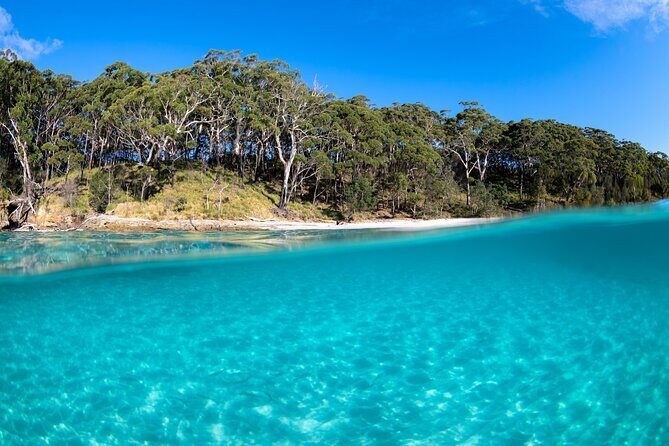 Jervis Bay Private Tour - Pick up & Drop off - The Sum Up: Who Is This Tour Best For?