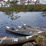 Johannisholm: Guided Canoe Tour on Lake Venjanssjön - Who Is This Tour Perfect For?