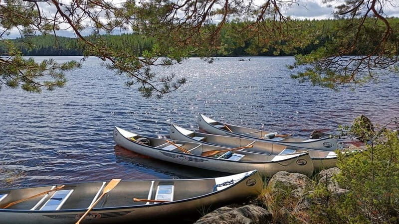 Johannisholm: Guided Canoe Tour on Lake Venjanssjön - Who Is This Tour Perfect For?