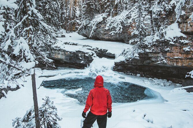 Johnston Canyon Frozen Waterfalls & Banff Backroads Wildlife Tour - Exploring Johnston Canyon and the Scenic Backroads