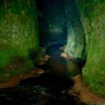 Join the Dark Side of Magical Nature - Why This Tour Stands Out