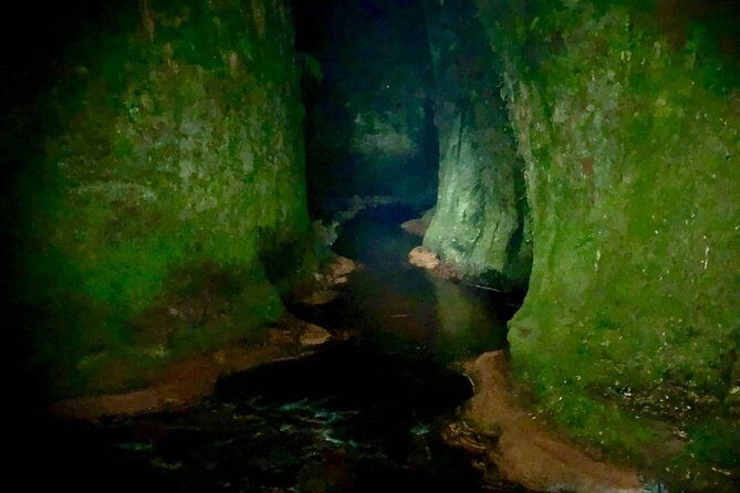 Join the Dark Side of Magical Nature - Why This Tour Stands Out