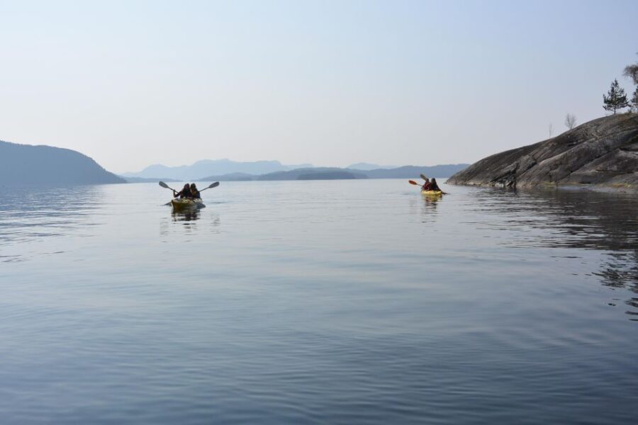 Jørpeland: Guided fjordtour kayak - Why This Tour Matters for Your Norway Trip