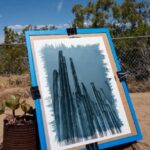 Joshua Tree: Cyanotype Sunprint Workshop - Who Is This Tour Best For?