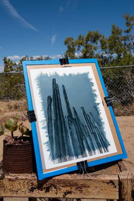 Joshua Tree: Cyanotype Sunprint Workshop - Who Is This Tour Best For?