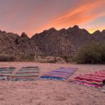Joshua Tree: Soundbath Under The Stars - The Guide: Conan and the Personal Touch