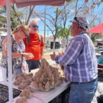 Juarez downtown walking tour - What to Expect During the Tour