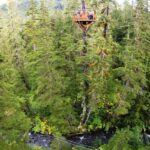 Juneau: Alpine Zipline Adventure - Who Will Enjoy This Tour?