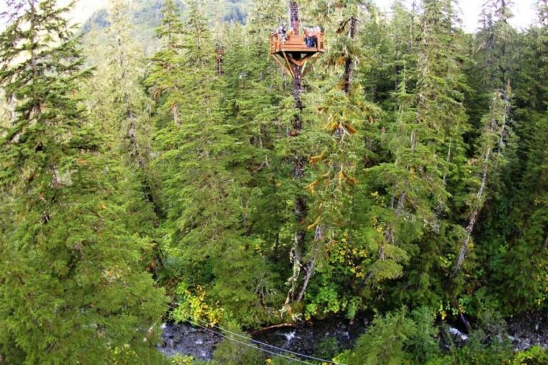 Juneau: Alpine Zipline Adventure - Who Will Enjoy This Tour?
