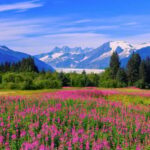 Juneau: Craft Beer and Brewery Tour with Scenic Stops - FAQ