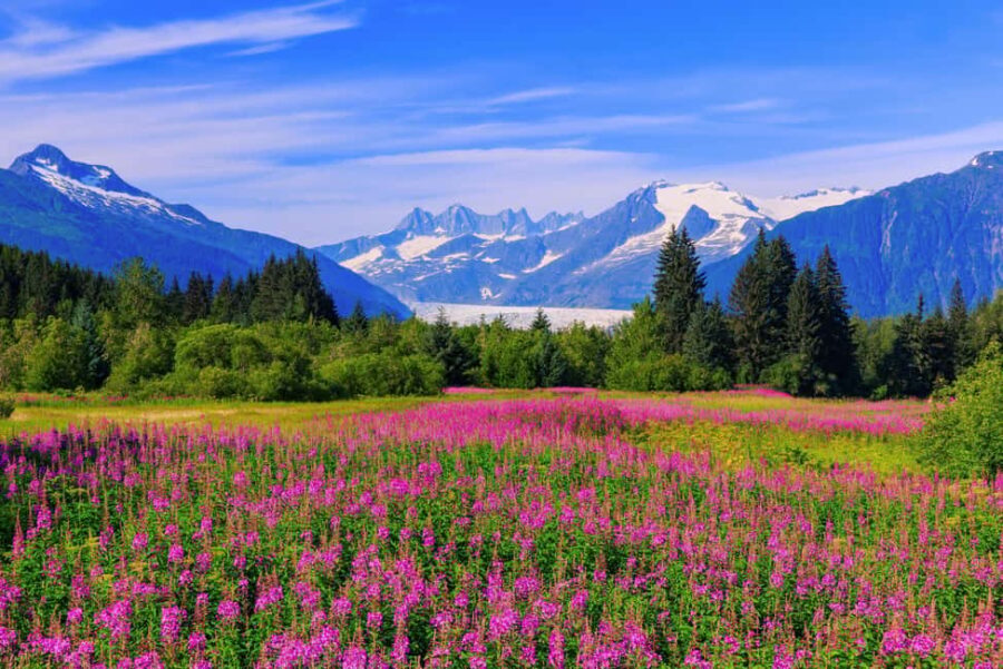 Juneau: Craft Beer and Brewery Tour with Scenic Stops - FAQ