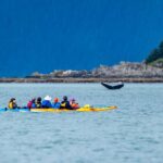 Juneau: Paddle with Whales Kayak Adventure - Who Will Love This Tour?