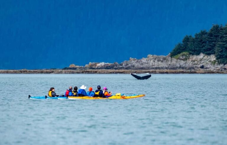 Juneau: Paddle with Whales Kayak Adventure - Who Will Love This Tour?