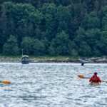 Juneau Shore Excursion: Paddle with Whales Kayak Adventure - Who Will Love This Tour?