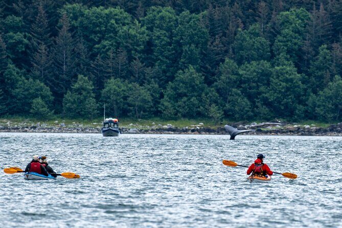Juneau Shore Excursion: Paddle with Whales Kayak Adventure - Who Will Love This Tour?