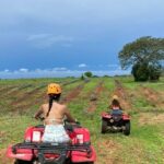 Jungle and beach ATV tour + lunch + tequila tasting - The Sum Up