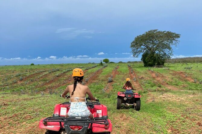 Jungle and beach ATV tour + lunch + tequila tasting - The Sum Up