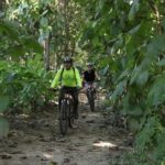 Jungle Bike Tour - A Closer Look at the Jungle Bike Tour Experience